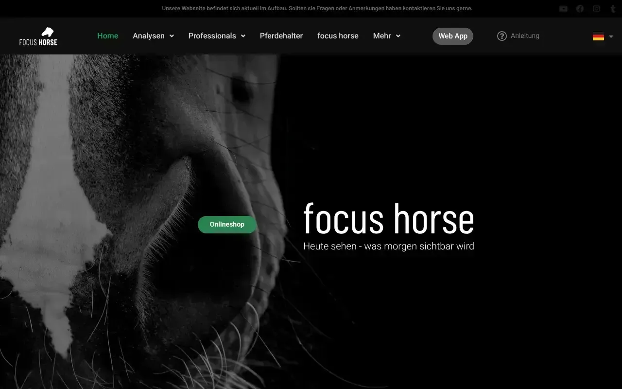focus horse